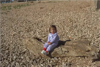 small_9400 1822 family etc reunion 93 damjamImg0026.webp